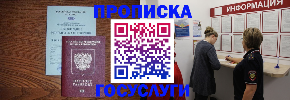 временная регистрация гарантия в Железногорске